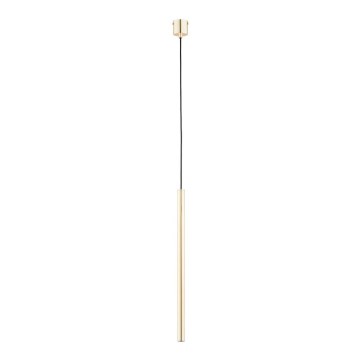 Suspension filaire COLLET 1xG9/40W/230V doré