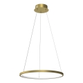 Suspension filaire HOOP LED/27W/230V d. 50 cm 4000K doré