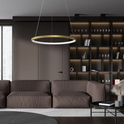 Suspension filaire HOOP LED/27W/230V d. 50 cm 4000K doré