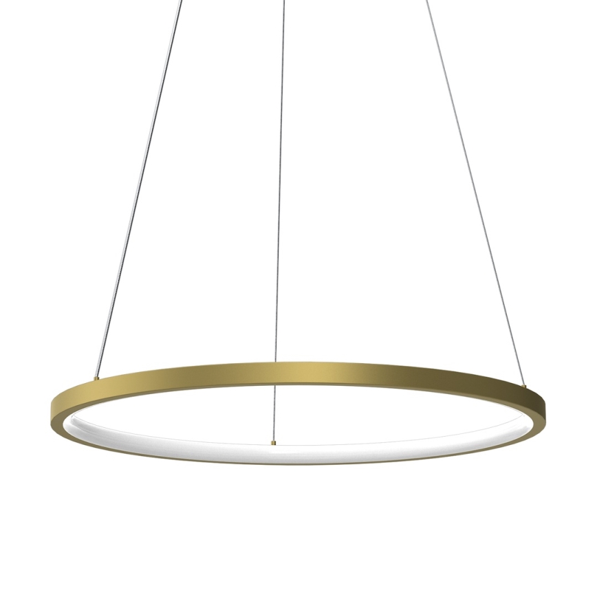 Suspension filaire HOOP LED/27W/230V d. 50 cm 4000K doré