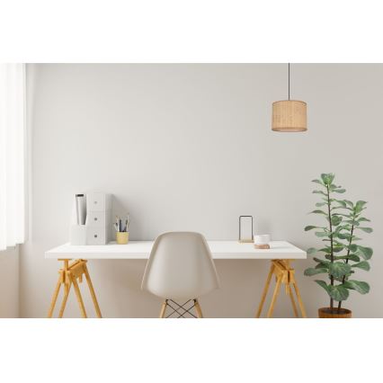 Suspension filaire IRMA 1xE27/60W/230V d. 20 cm