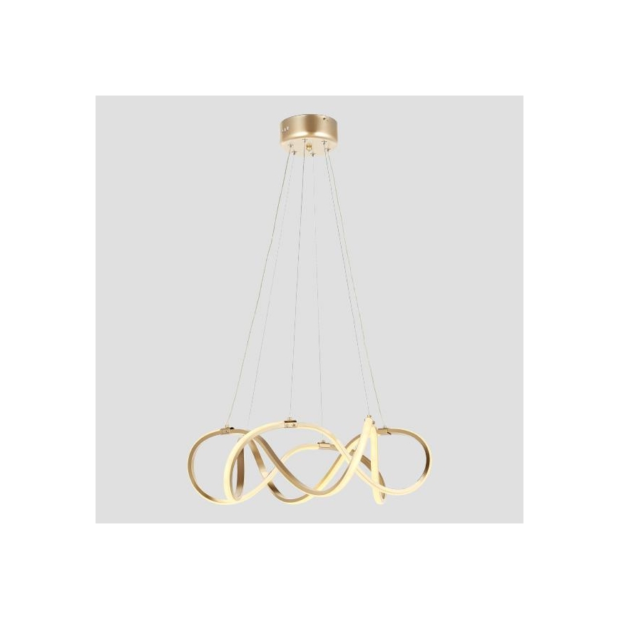 Suspension filaire LED/54W/230V 3000/4000/6000K doré