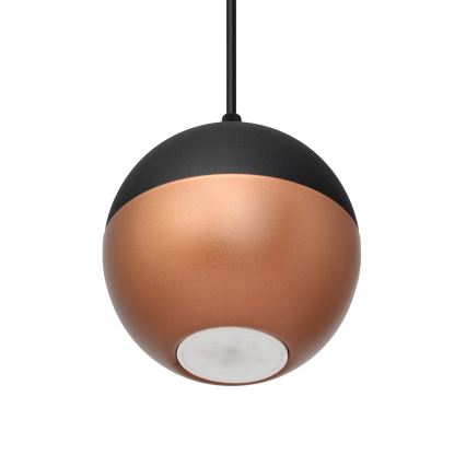 Suspension filaire LED MIDWAY 3xGU10/4,8W/230V noir/cuivre