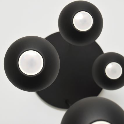 Suspension filaire LED MIDWAY 4xGU10/4,8W/230V noir