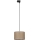 Suspension filaire pour système de rail triphasé TRACER 1xE27/15W/230V d. 30 cm noir/marron