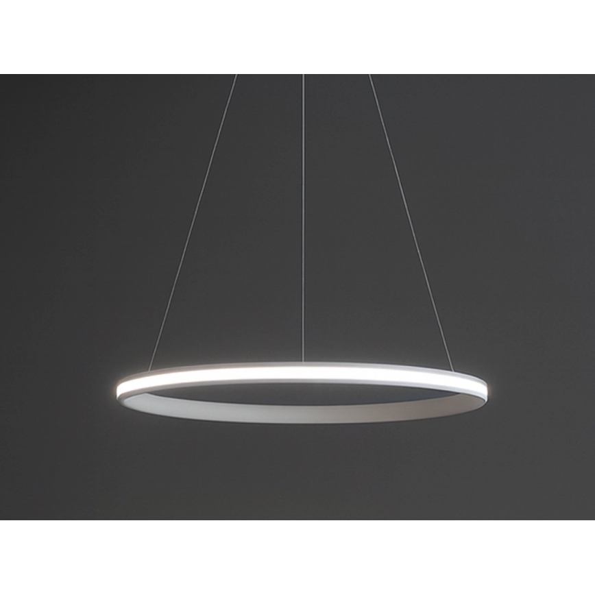 Suspension LED dimmable sur câble LED/55W/230V 3000-6500K Ø 60 cm + télécommande