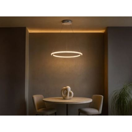 Suspension LED dimmable sur câble LED/90W/230V 3000-6500K Ø 60 cm + télécommande