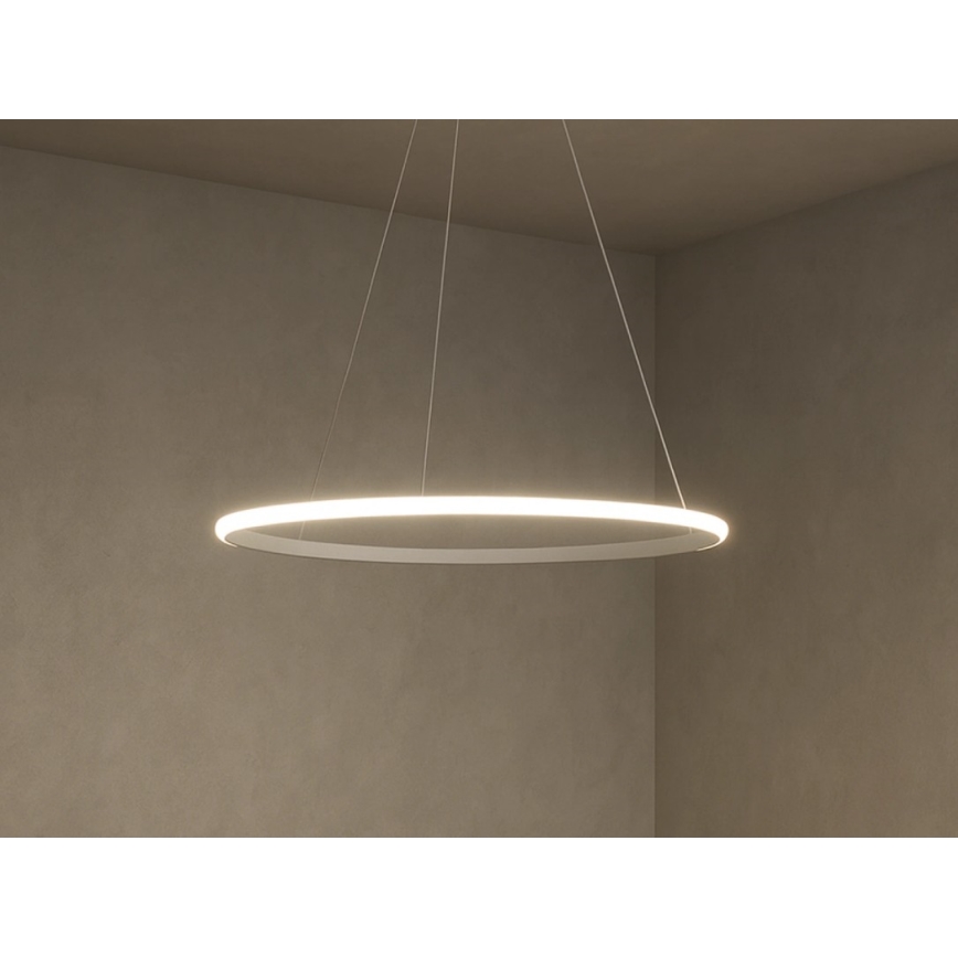 Suspension LED dimmable sur câble LED/32W/230V 3000-6500K Ø 60 cm + télécommande