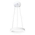 Suspension LED FOKKO/9W/230V