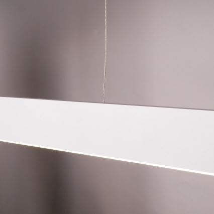 Suspension LED sur câble BERNADETTA LED/20W/230V 4000K blanche