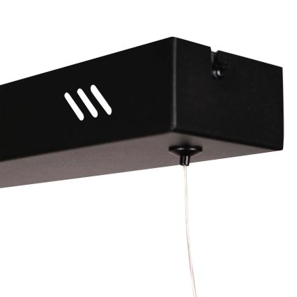 Suspension LED sur câble BERNADETTA LED/20W/230V 4000K noir