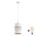 Suspension LED sur câble BOGART 1xE27/15W/230V blanc/or