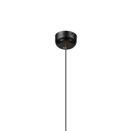 Suspension LED sur câble BONNIE LED/15W/230V 3000K noire