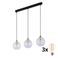 Suspension LED sur câble DEVON 3xE27/15W/230V noir/transparent