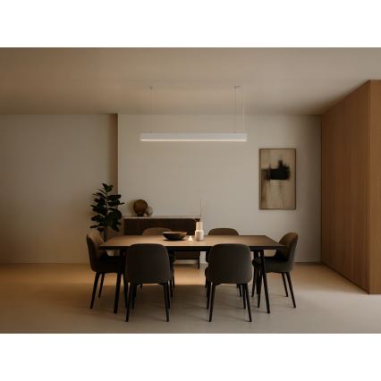 Suspension LED sur câble LED/55W/230V 3000/4000/6500K 120 cm blanche