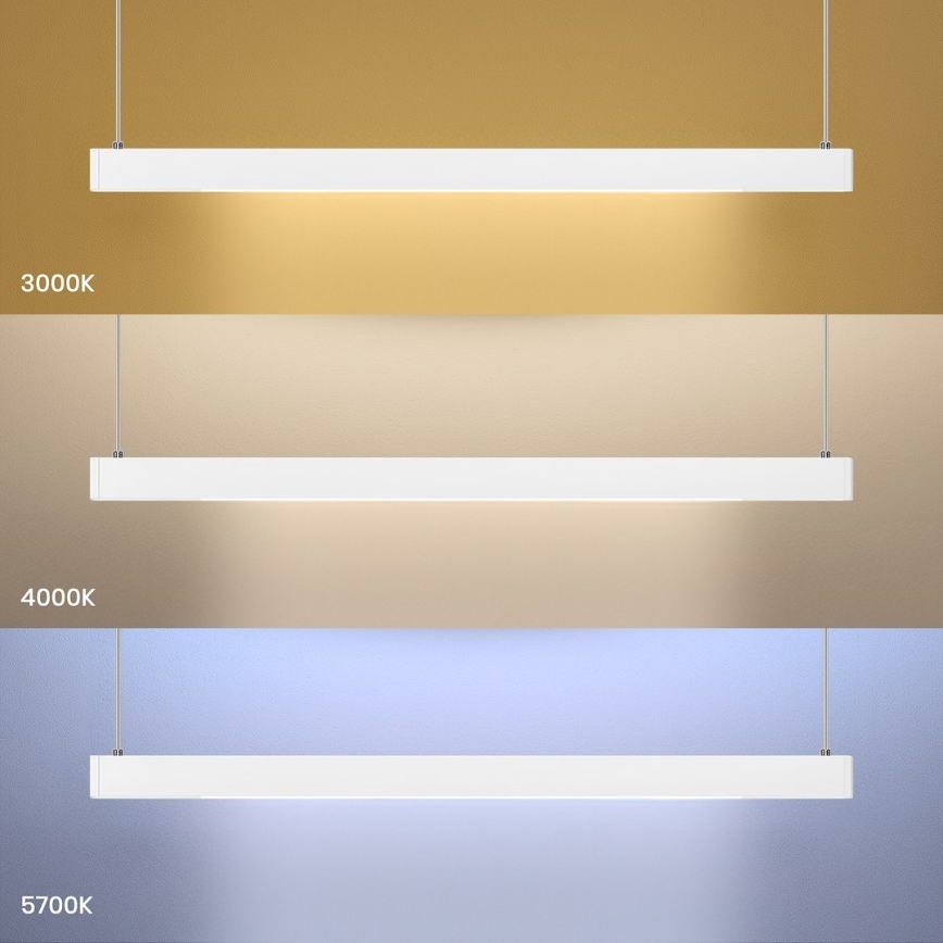 Suspension LED sur câble LINEA LED/36W/230V 3000/4000/5700K CRI 90 blanc