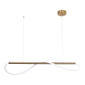 Suspension LED sur câble MELECA LED/24W/230V 3000/4000/6000K 100 cm dorée