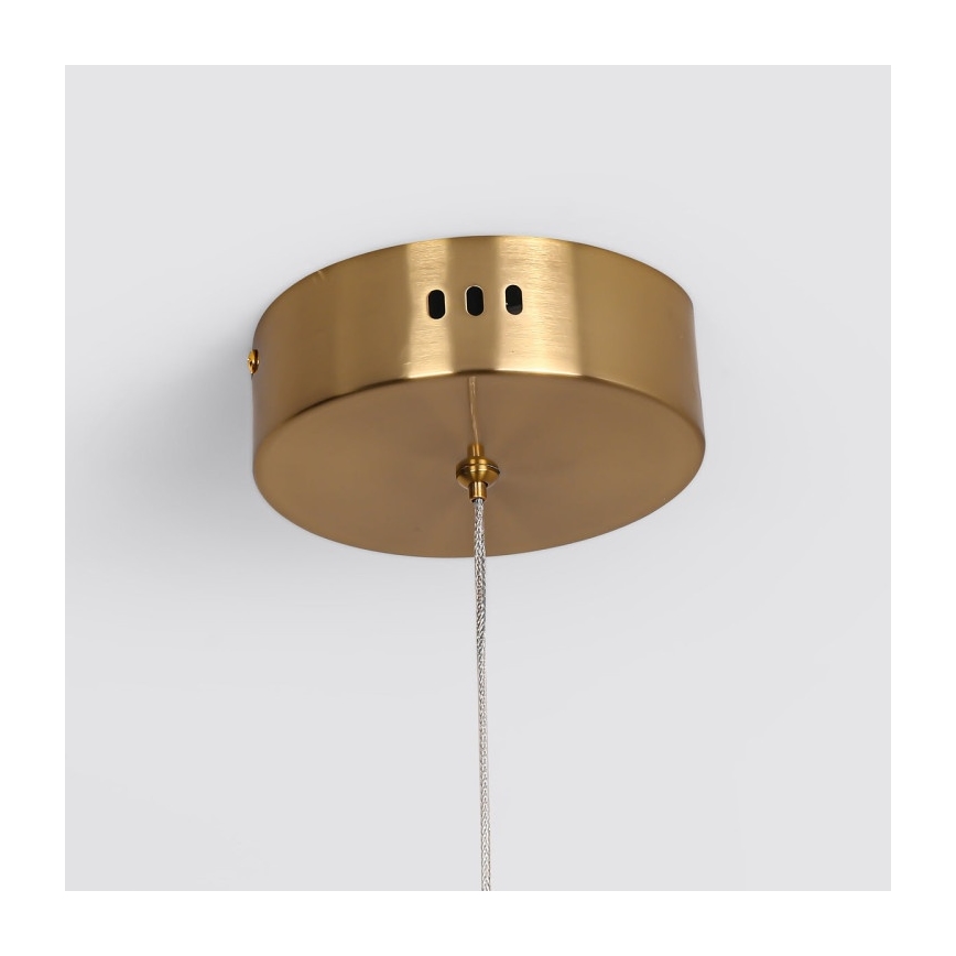 Suspension LED sur câble MELECA LED/36W/230V 3000/4000/6000K 160 cm dorée