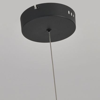 Suspension LED sur câble MELECA LED/36W/230V 3000/4000/6000K 160 cm noir