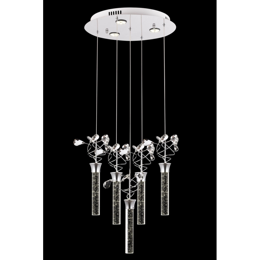Suspension LED sur câble PIGEON 5xLED/6W/230V 6500K chrome brillant