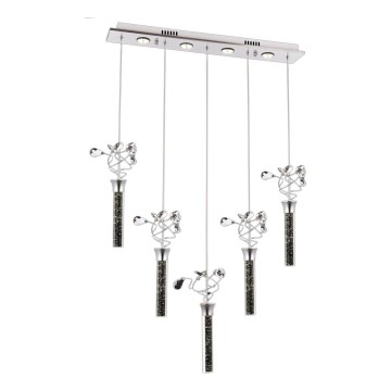 Suspension LED sur câble PIGEON 5xLED/6W/230V 6500K chrome brillant