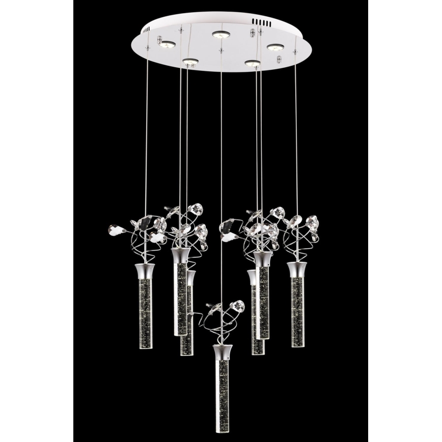 Suspension LED sur câble PIGEON 7xLED/6W/230V 6500K chromé brillant
