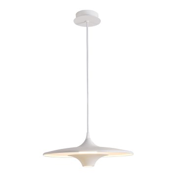 Suspension LED sur câble RENE LED/19W/230V CRI 90 blanche