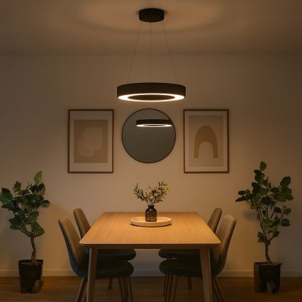 Suspension LED sur câble UNION, 40 W, 230 V, 3000/4000/6500 K, Ø 40 cm, noire