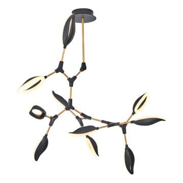 Suspension LED sur tige ASTI 10xLED/7W/230V 3000K noir