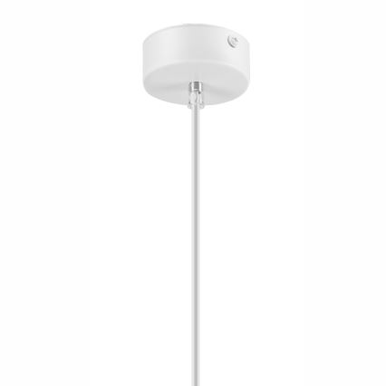 Suspension sur câble SIMON 1xE27/60W/230V hêtre