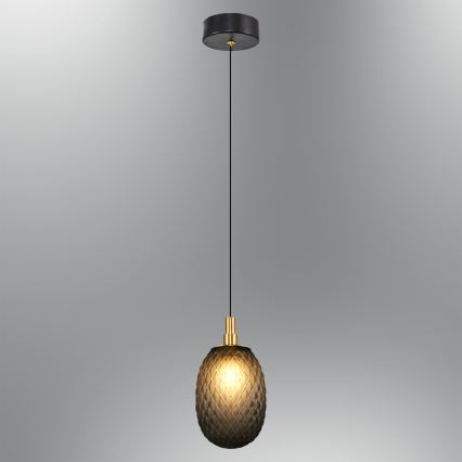 Suspension sur câble CACTUS 1xG9/5W/230V noire