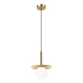 Suspension sur câble CHITA 1xG9/5W/230V dorée
