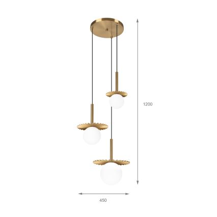Suspension sur câble CHITA 3xG9/5W/230V dorée