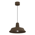 Suspension sur câble CLASS 1xE27/15W/230V marron