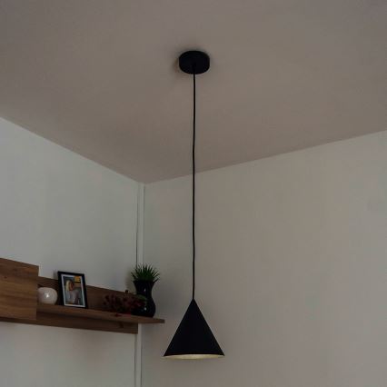 Suspension sur câble ETNA 1xE27/15W/230V Ø 18,5 cm noire