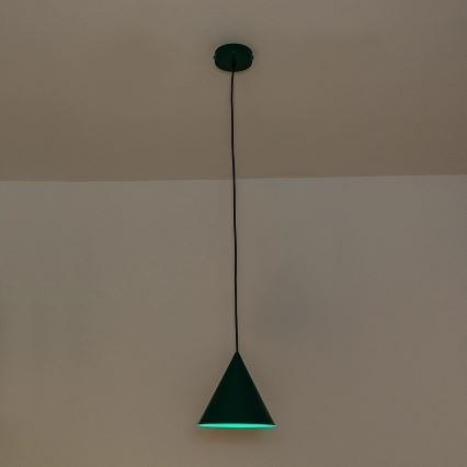 Suspension sur câble ETNA 1xE27/15W/230V Ø 18,5 cm, vert