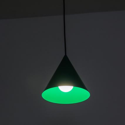 Suspension sur câble ETNA 1xE27/15W/230V Ø 18,5 cm, vert