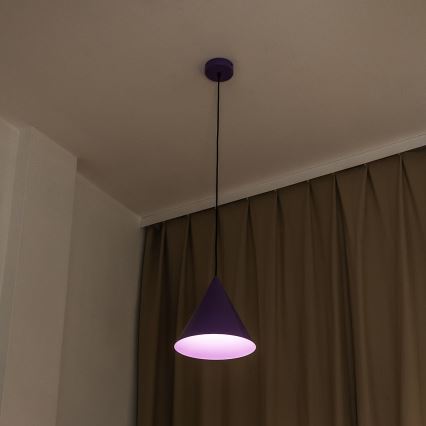 Suspension sur câble ETNA 1xE27/15W/230V Ø 25 cm violet