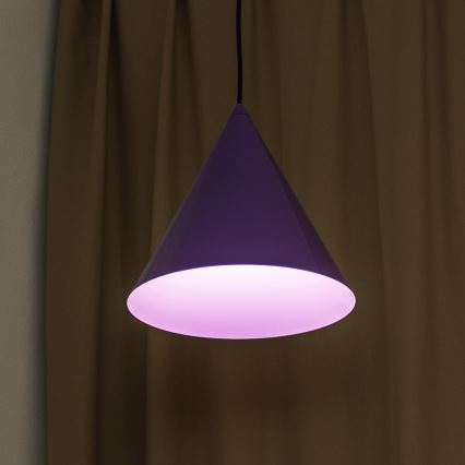 Suspension sur câble ETNA 1xE27/15W/230V Ø 25 cm violet