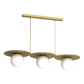 Suspension sur câble FLAT 3xE27/15W/230V dorée