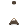 Suspension sur câble FUNDA 1xE27/15W/230V, marron