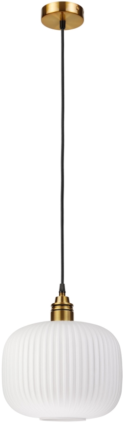 Suspension sur câble HECTOR 1xE27/15W/230V Ø 25 cm