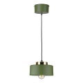 Suspension sur câble IGNIA 1xE27/60W/230V vert