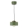 Suspension sur câble IGNIA 1xE27/60W/230V vert