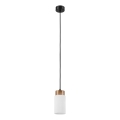 Suspension sur câble MARKUS 1xE27/15W/230V noir/chêne