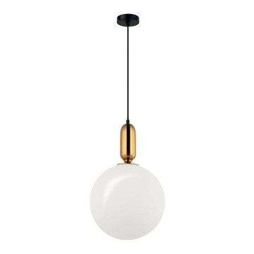 Suspension sur câble NEPTUNE 1xE27/40W/230V dorée