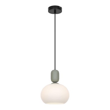 Suspension sur câble VALISIA 1xE27/40W/230V noir/olive