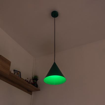 Suspension sur cordon ETNA 1xE27/15W/230V Ø 25 cm, verte