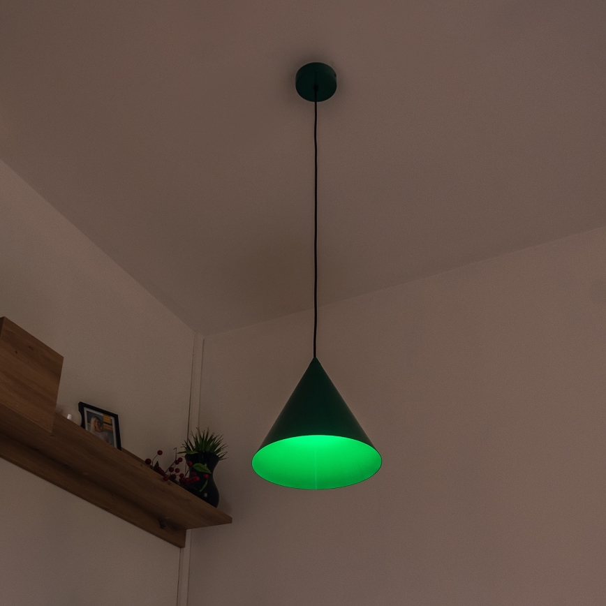 Suspension sur cordon ETNA 1xE27/15W/230V Ø 25 cm, verte