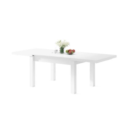 Table à manger extensible pour 12 personnes RALF 120/270x90 cm blanche